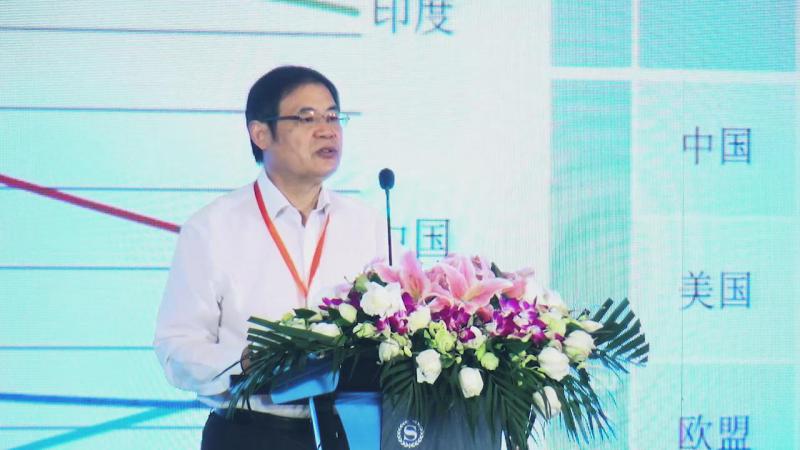 潘家華：能源轉(zhuǎn)型的進程與愿景