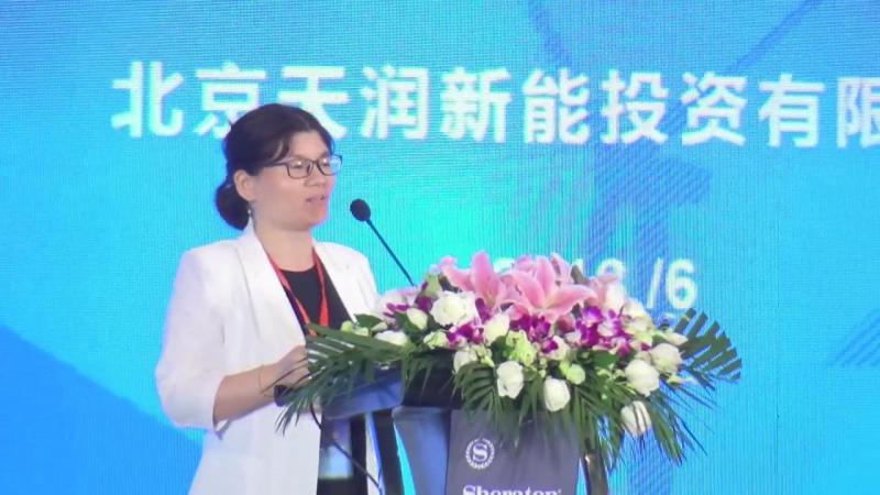 劉愛花：風(fēng)電融資分享