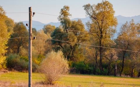 為振興黑山配電網絡，CEDIS將在分銷網絡上投資8160萬歐元