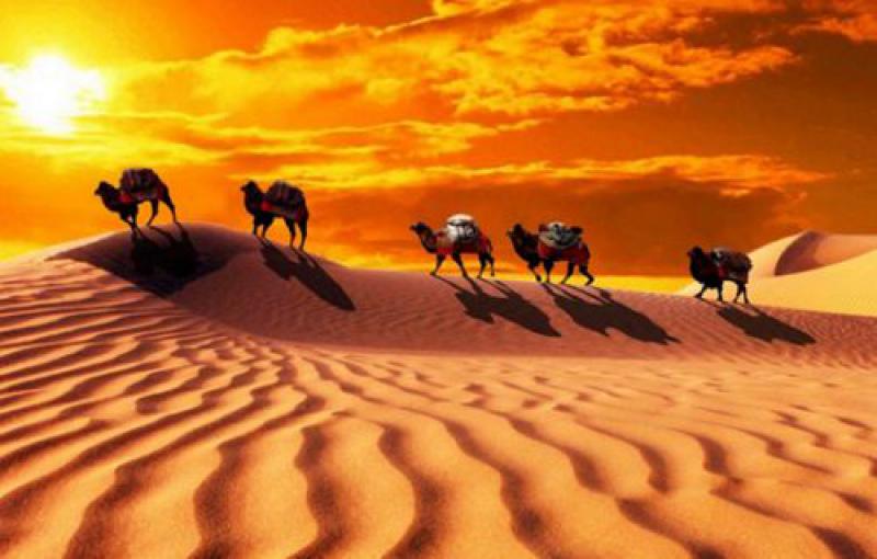 烏克蘭經(jīng)貿部介紹烏實施“絲綢之路”項目落實情況