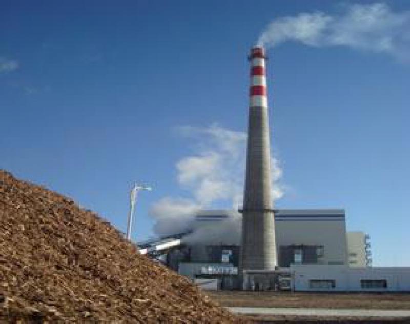 生物質發電去補貼或快于預期