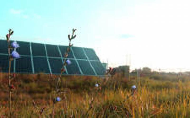 太陽能和能源存儲在印第安納州贏得大獎(jiǎng)