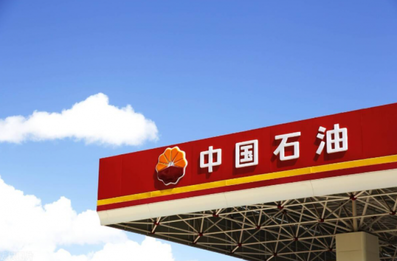 中國石油集團(tuán)董事長戴厚良會見厄瓜多爾能礦部副部長費雷拉