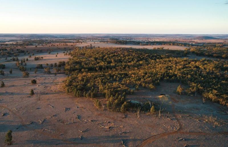 澳大利亞戰略材料公司:堆浸法或降本增效促稀土生產
